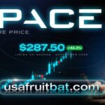 SpaceX IPO Share Price: Shocking Truth Every Investor Must Know in 2026