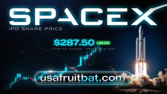 SpaceX IPO Share Price