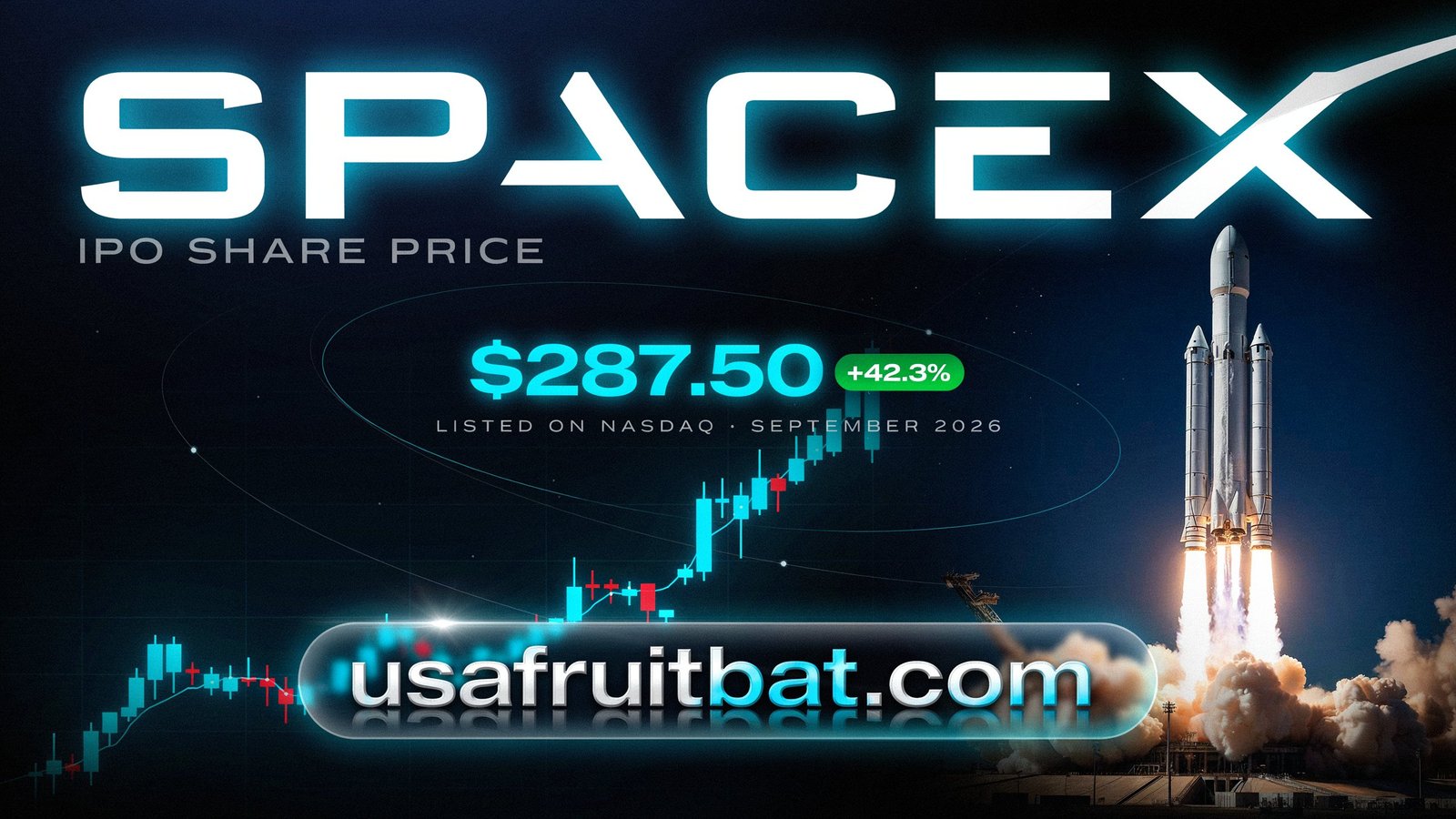 SpaceX IPO Share Price