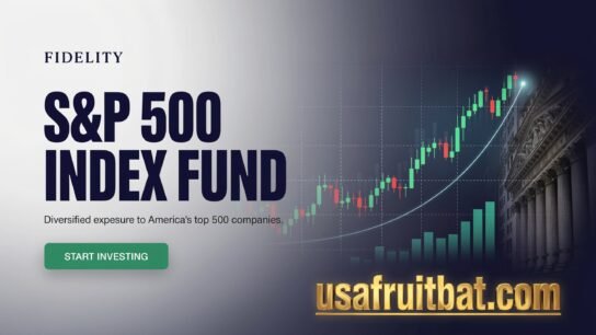 Fidelity S&P 500 Index Fund