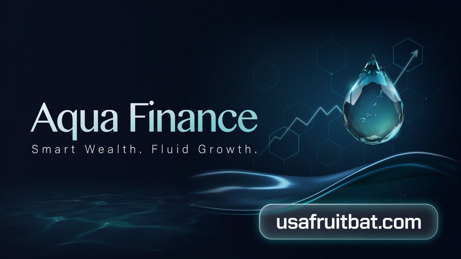 Aqua Finance
