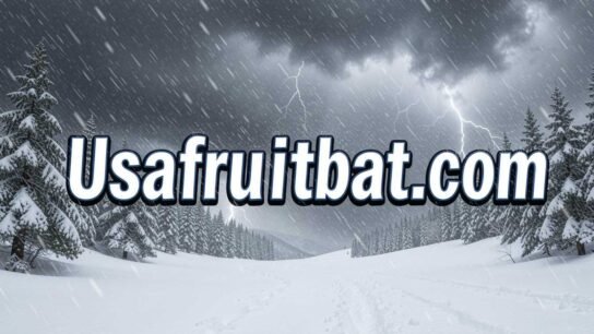 Winter Storm Weather Forecast