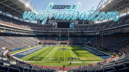 Huntington Bank Field