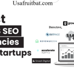 SaaS SEO Agency: The Real Growth Engine Your Software Deserves in 2026