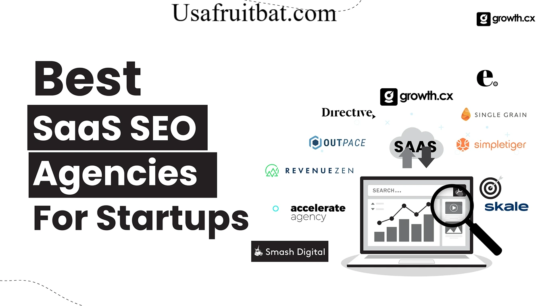 SaaS SEO Agency