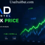 Rad Intel Stock: Exciting Opportunity or Risky Bet in 2026?