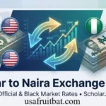 Naira to USD: Your Simple Guide to Today’s Exchange Rate in 2026
