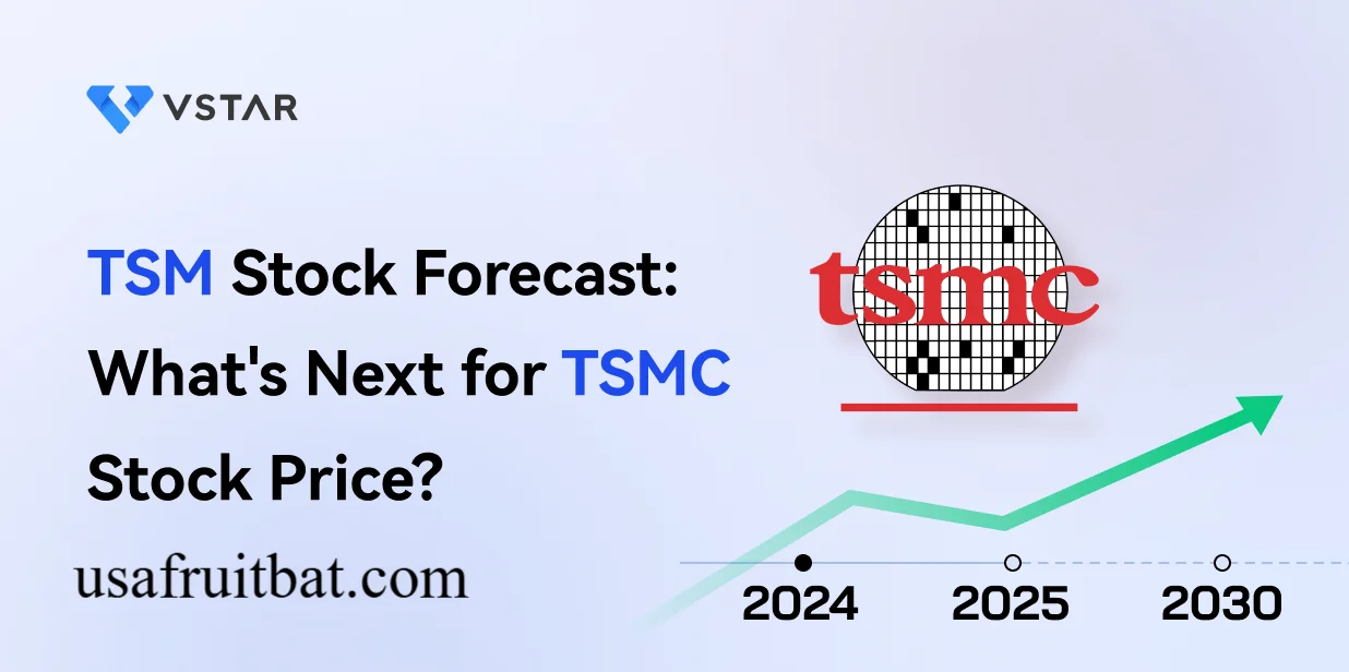 TSM Stock Price Prediction 2030