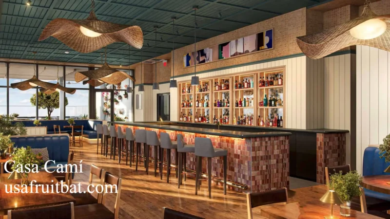 Casa Camí Tampa: Stunning Rooftop Views, Not Just Hype