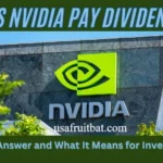 Does Nvidia Pay Dividends? The Truth Investors Need Now