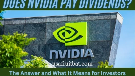 Does Nvidia Pay Dividends