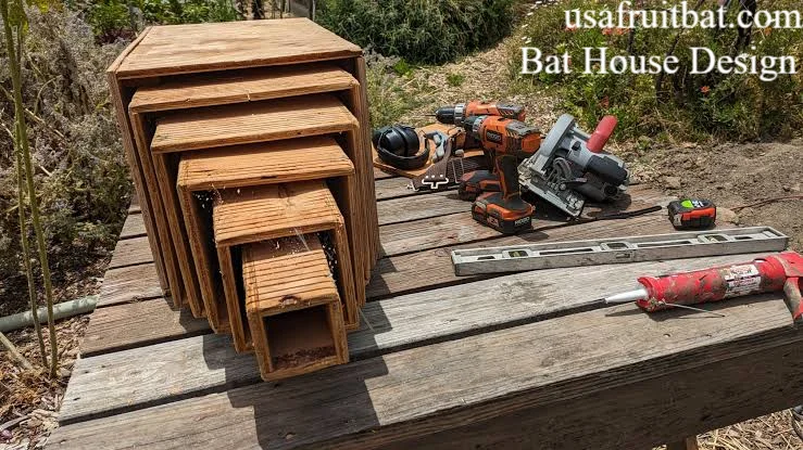 Bat House Design