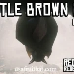 Little Brown Bat RDR2: The Ultimate Hunting Guide