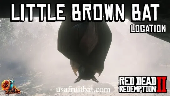 Little Brown Bat RDR2