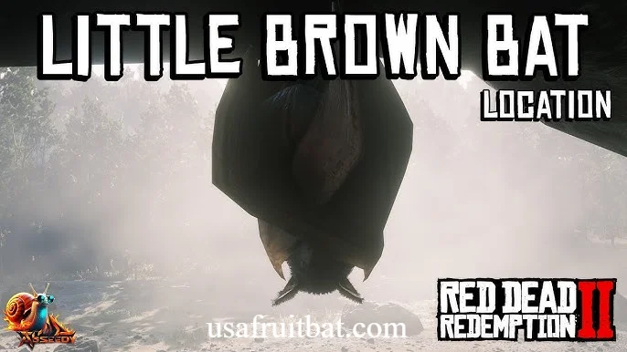 Little Brown Bat RDR2