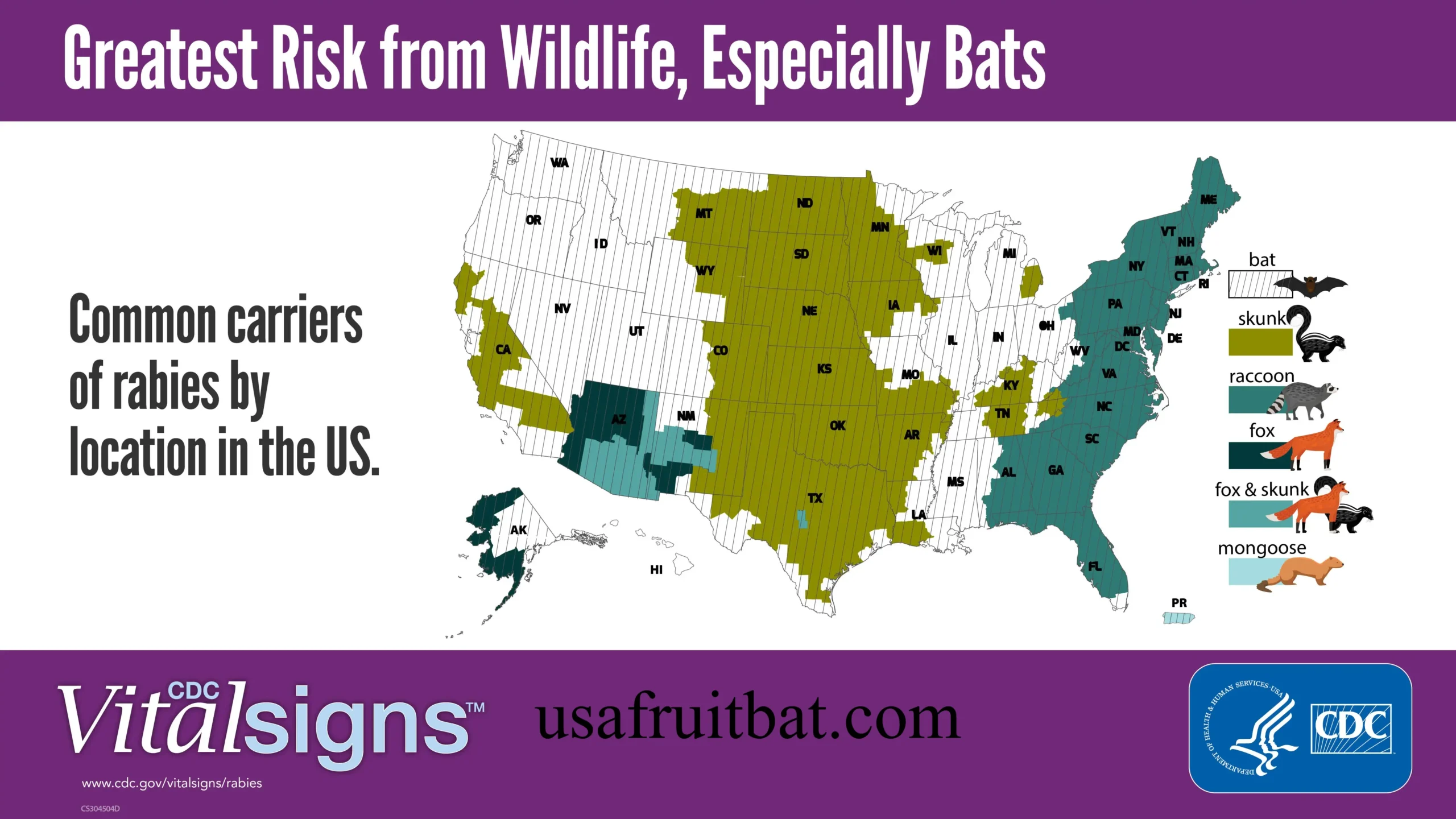 Bat Population by State