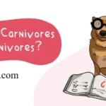 Are Dogs Carnivores or Omnivores? A Complete Guide to Canine Nutrition in 2026