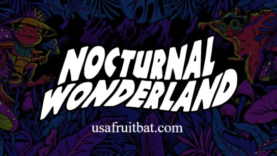 Nocturnal Wonderland