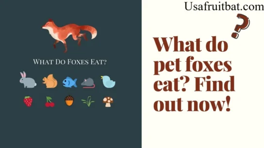 Red Fox Diet