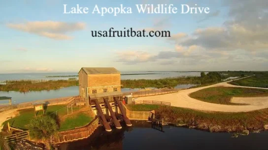 Lake Apopka Wildlife Drive