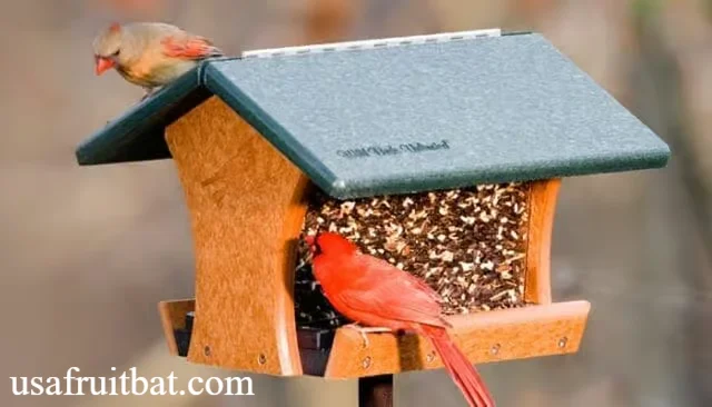 Wild Birds Unlimited Franchise: Costs, Profits, Reviews & Ownership Opportunities in 2026