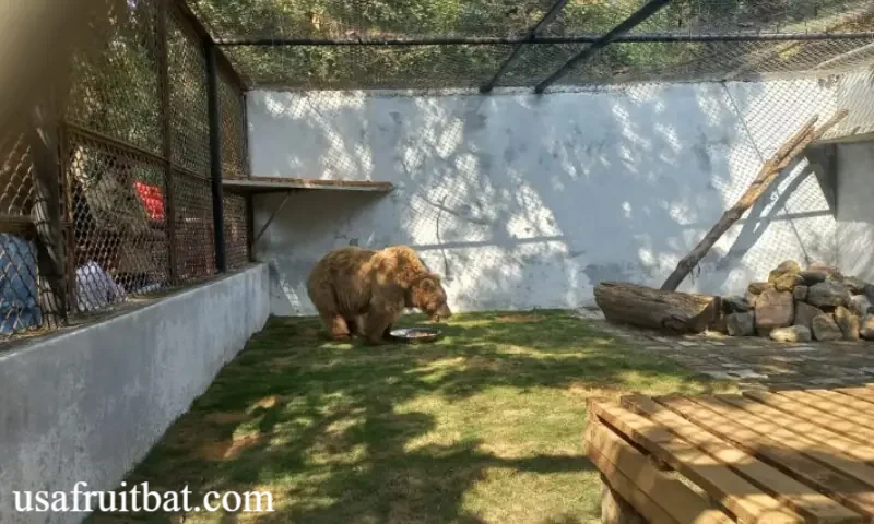 Wildlife Partners Lawsuit