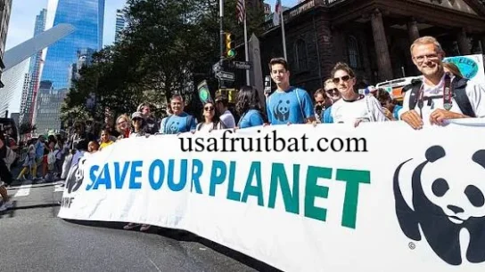 World Wildlife Fund Jobs