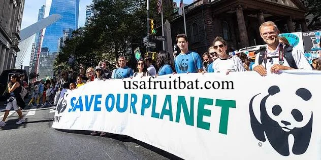 World Wildlife Fund Jobs