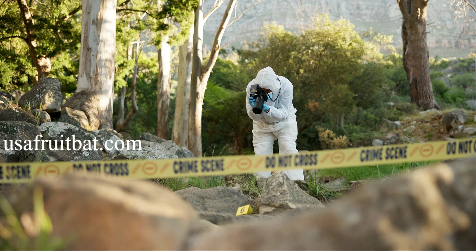 Wildlife Crime Investigator