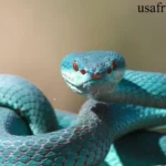 Pet Snakes for Beginners: Best Species, Costs & Care Guide