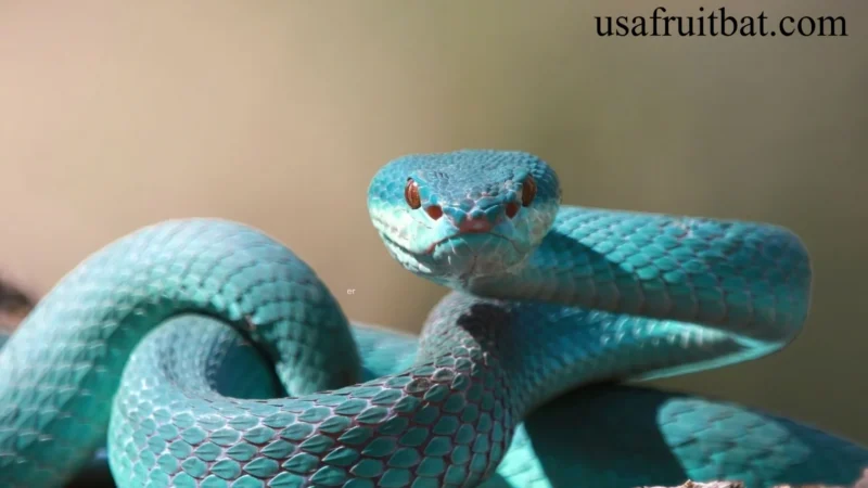 Pet Snakes for Beginners: Best Species, Costs & Care Guide